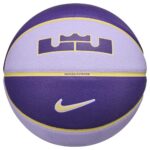 Nike Nike Basketball All Court 2.0 Lebron James